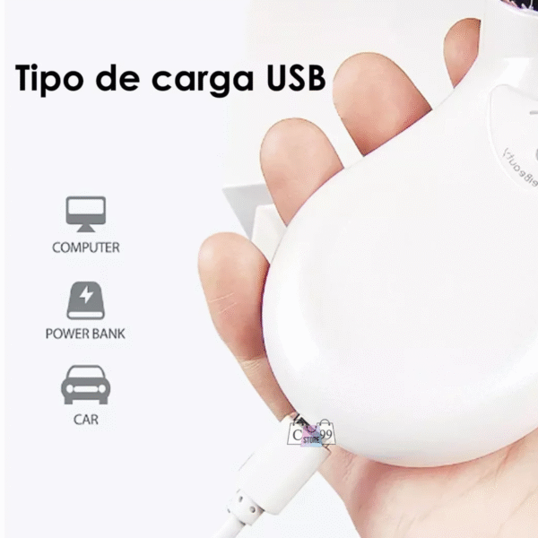 Masajeador Facial USB