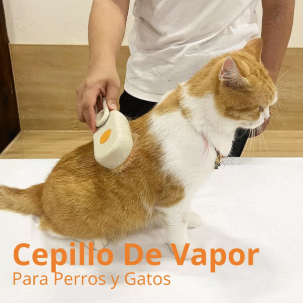 173145181491 Cepillo Vapor para Mascotas